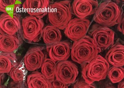 Osterrosenaktion des BDKJ 2017