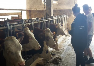 Ferienfreizeit im Chiemgau der Heilpädagogischen Wohngruppe